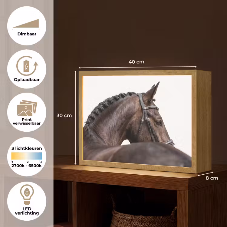 Lightbox - Wandlamp - Portret - Paard - Elegant — 10