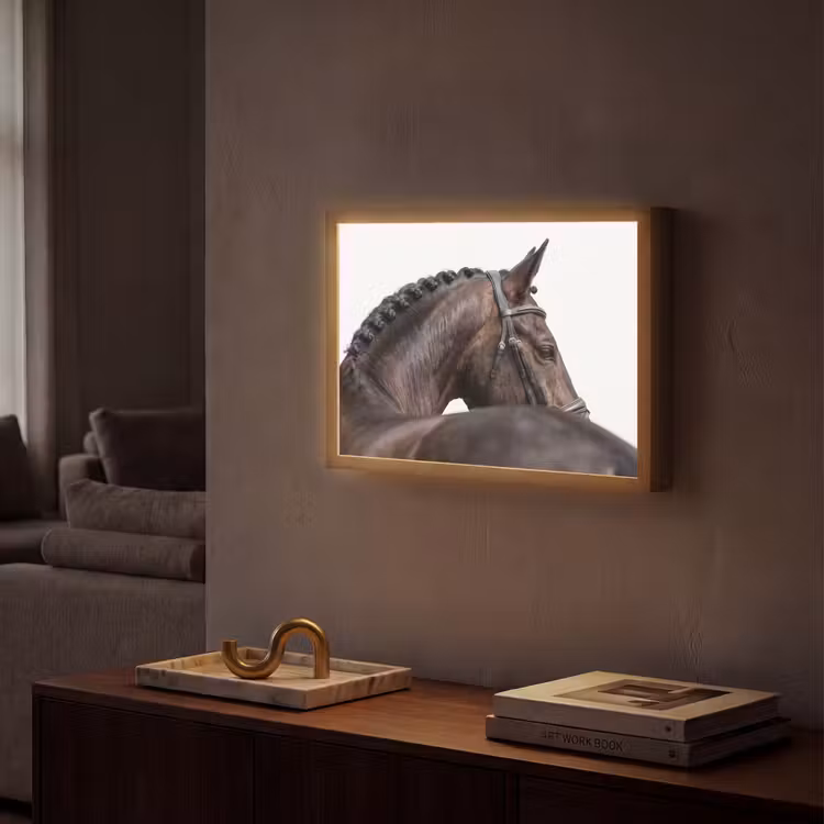 Lightbox - Wandlamp - Portret - Paard - Elegant — 2