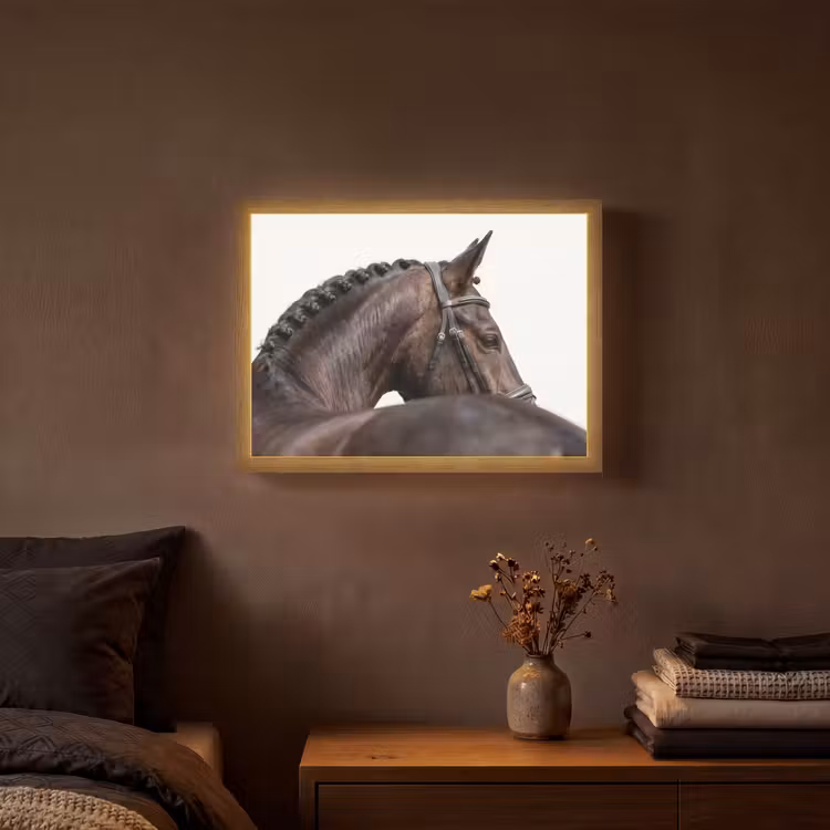 Lightbox - Wandlamp - Portret - Paard - Elegant — 3