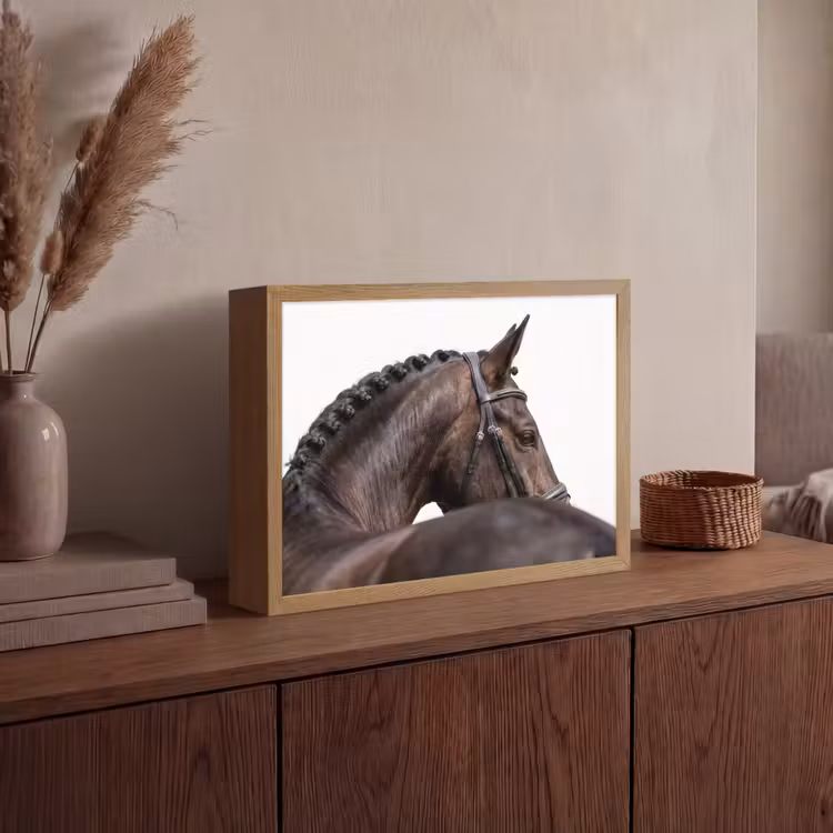 Lightbox - Wandlamp - Portret - Paard - Elegant — 4