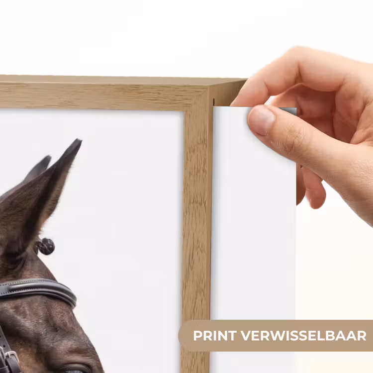 Lightbox - Wandlamp - Portret - Paard - Elegant — 5