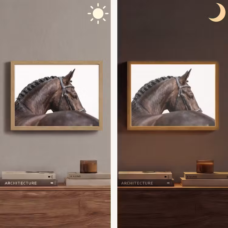 Lightbox - Wandlamp - Portret - Paard - Elegant — 6