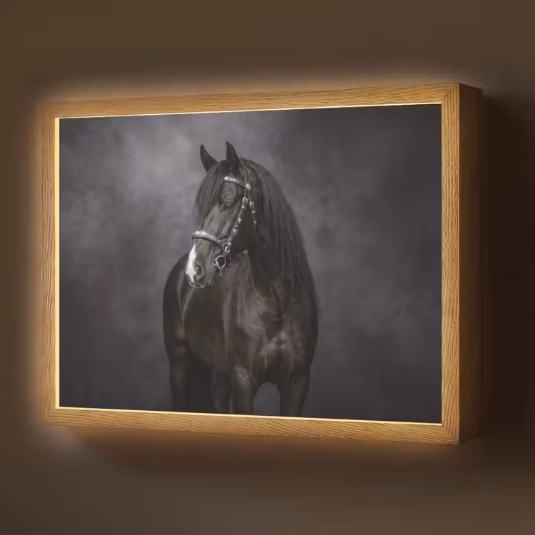 Lightbox - Wandlamp - Portret - Paard - Zwart — 1