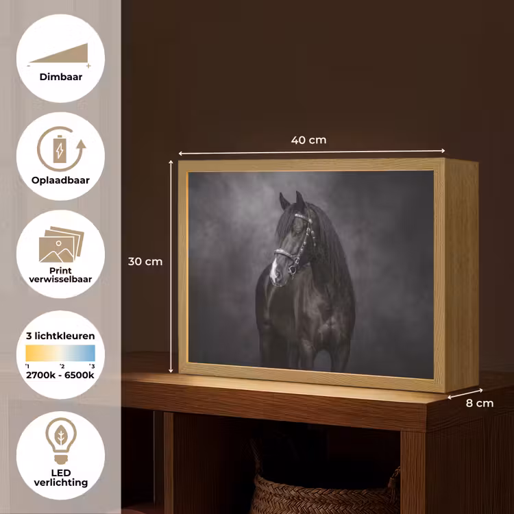 Lightbox - Wandlamp - Portret - Paard - Zwart — 10
