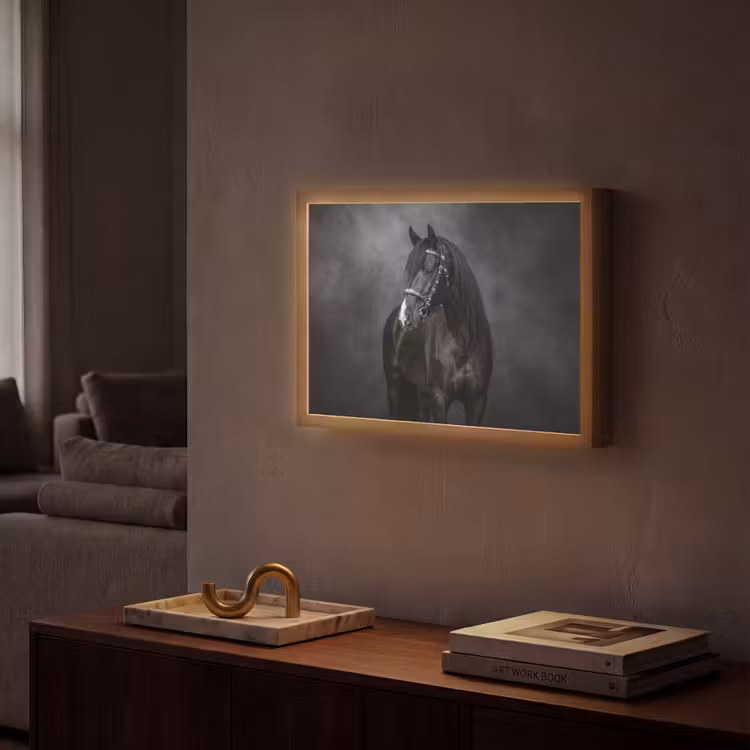 Lightbox - Wandlamp - Portret - Paard - Zwart — 2