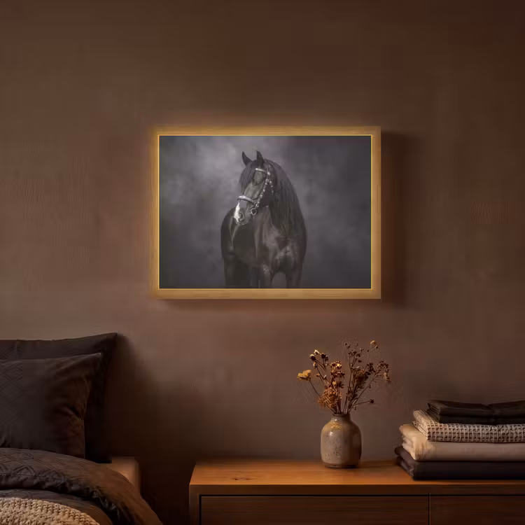 Lightbox - Wandlamp - Portret - Paard - Zwart — 3