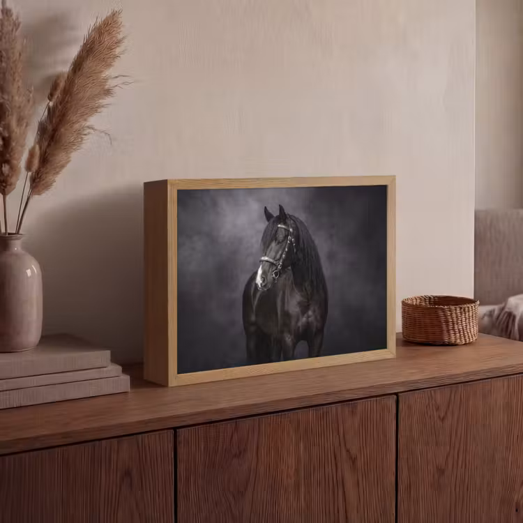 Lightbox - Wandlamp - Portret - Paard - Zwart — 4