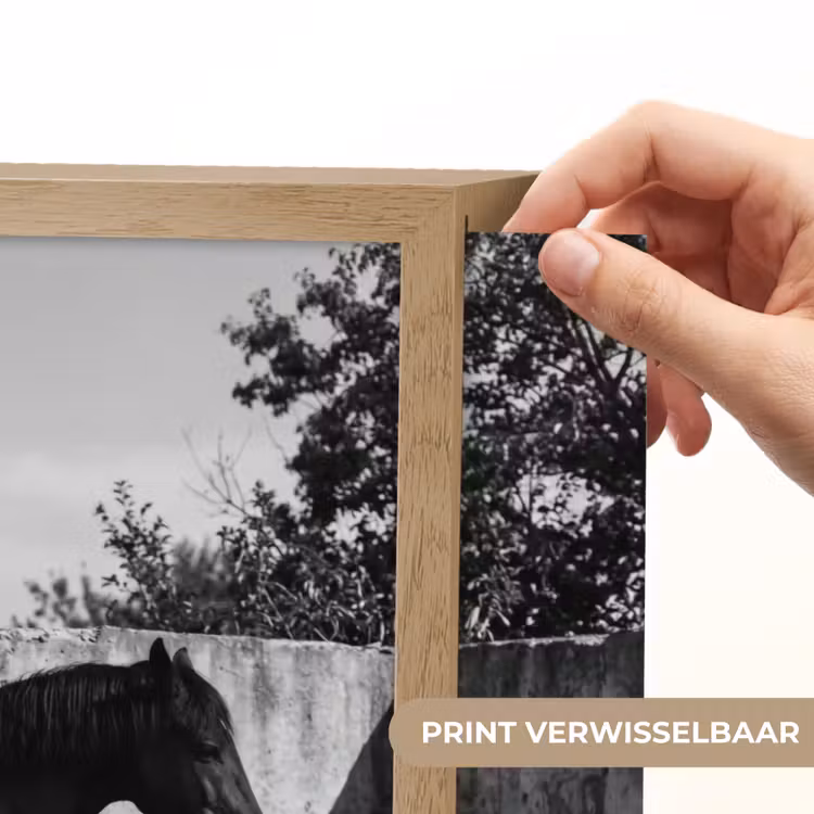 Lightbox - Wandlamp - Vrouw - Paard - Artistiek — 5