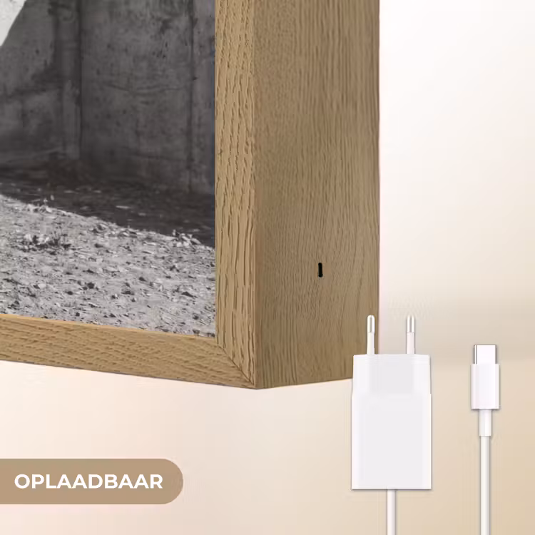 Lightbox - Wandlamp - Vrouw - Paard - Artistiek — 7