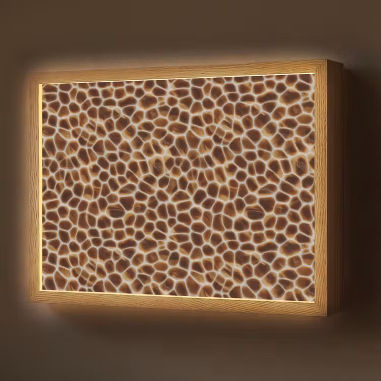 Lightbox - Wandlamp - Schildpad - Bruin - Patroon — 1