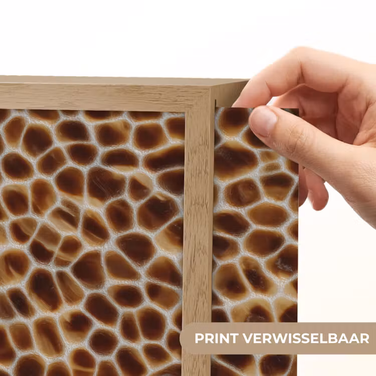 Lightbox - Wandlamp - Schildpad - Bruin - Patroon — 5