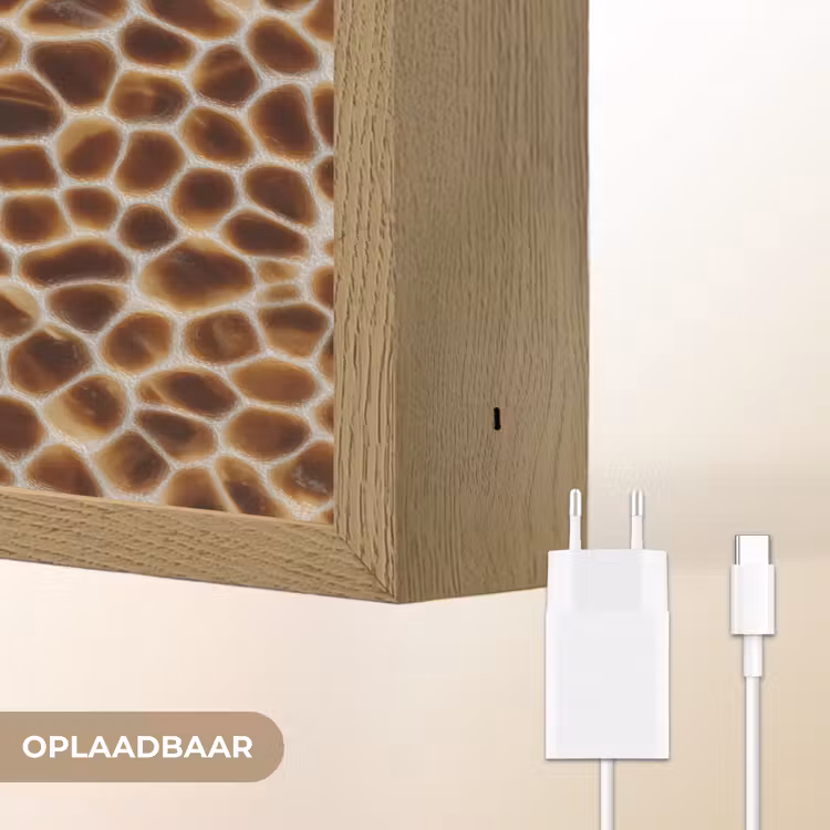 Lightbox - Wandlamp - Schildpad - Bruin - Patroon — 7