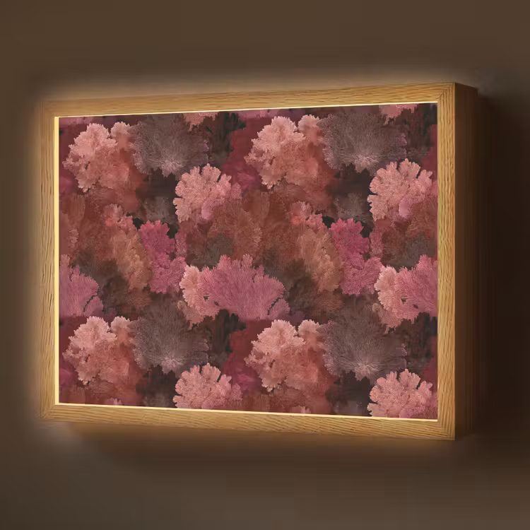 Lightbox - Wandlamp - Koraal - Textuur - Kleurrijk — 1