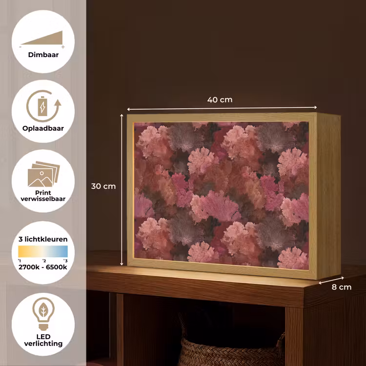 Lightbox - Wandlamp - Koraal - Textuur - Kleurrijk — 10