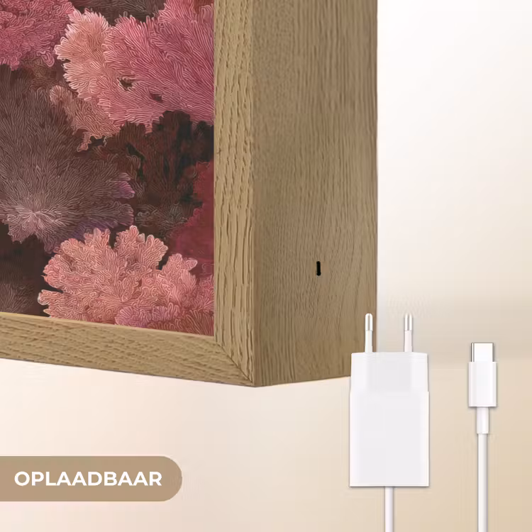 Lightbox - Wandlamp - Koraal - Textuur - Kleurrijk — 7