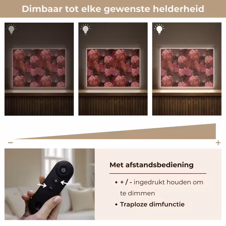 Lightbox - Wandlamp - Koraal - Textuur - Kleurrijk — 9