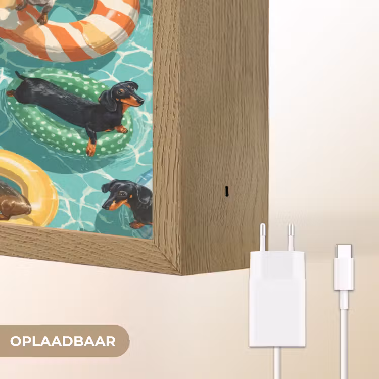 Lightbox - Wandlamp - Teckels - Zwembad - Kleurrijk — 7