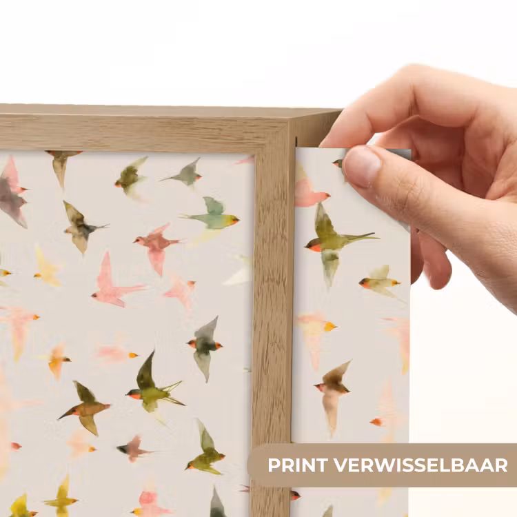 Lightbox - Wandlamp - Vogels - Vliegen - Kleurrijk — 5