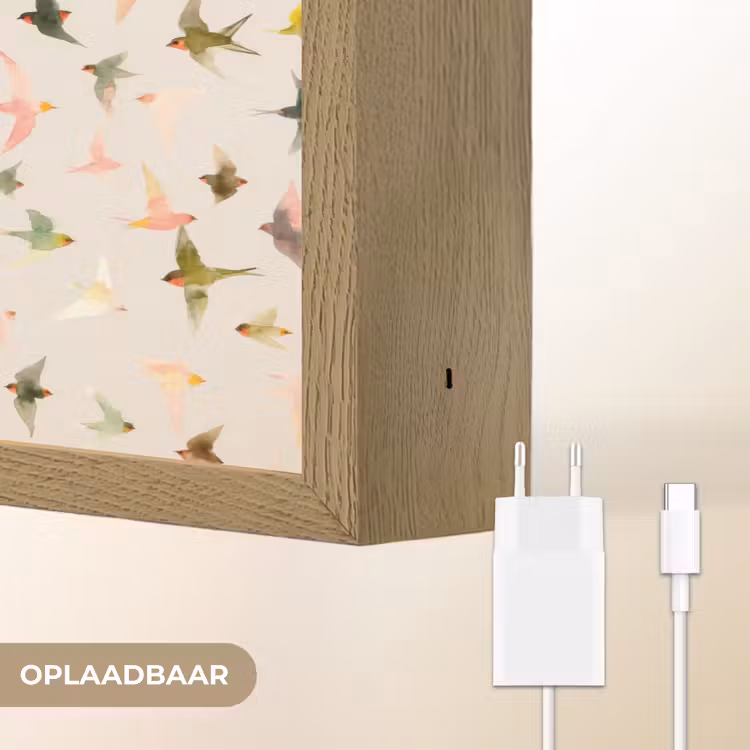 Lightbox - Wandlamp - Vogels - Vliegen - Kleurrijk — 7