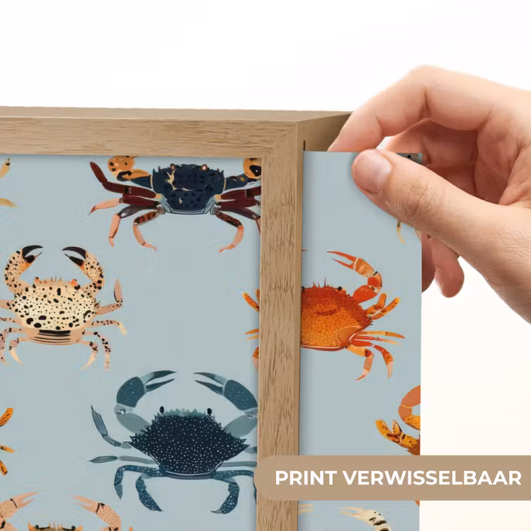 Lightbox - Wandlamp - Krabben - Speels - Kleurrijk — 5