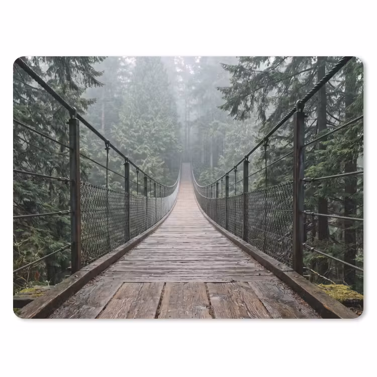 Muismat - Brug - Bos - Mist - Natuur — 1