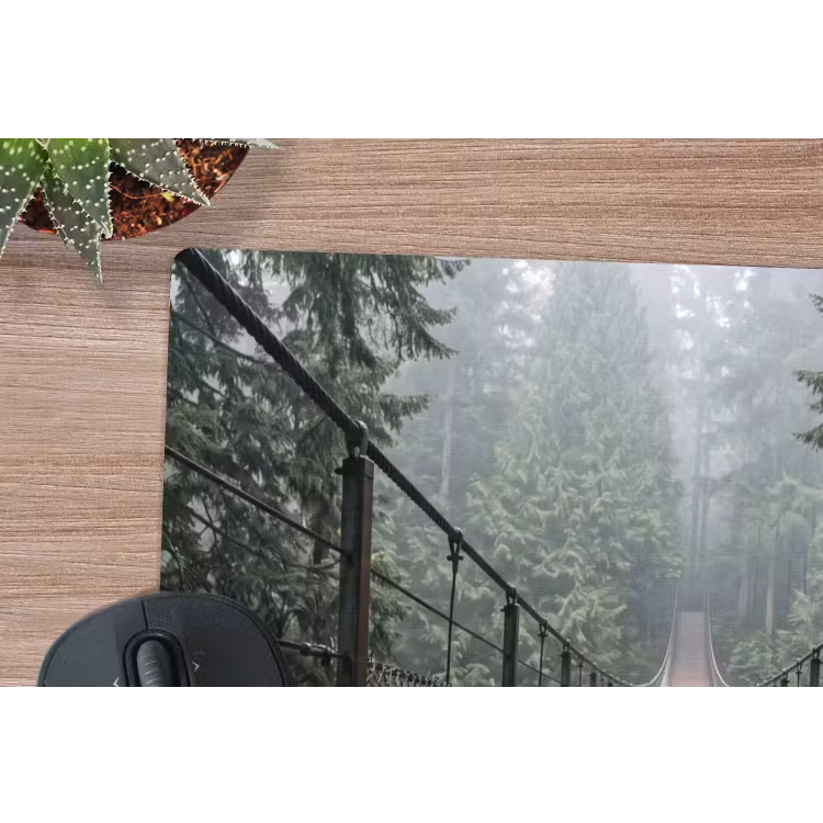 Muismat - Brug - Bos - Mist - Natuur — 4
