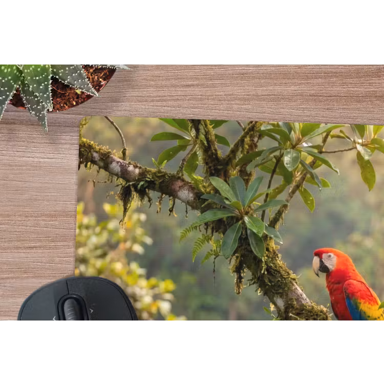 Muismat - Ara - Jungle - Rood — 4