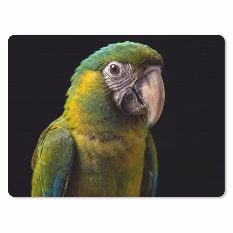 Muismat - Ara - Portret - Groen — 1
