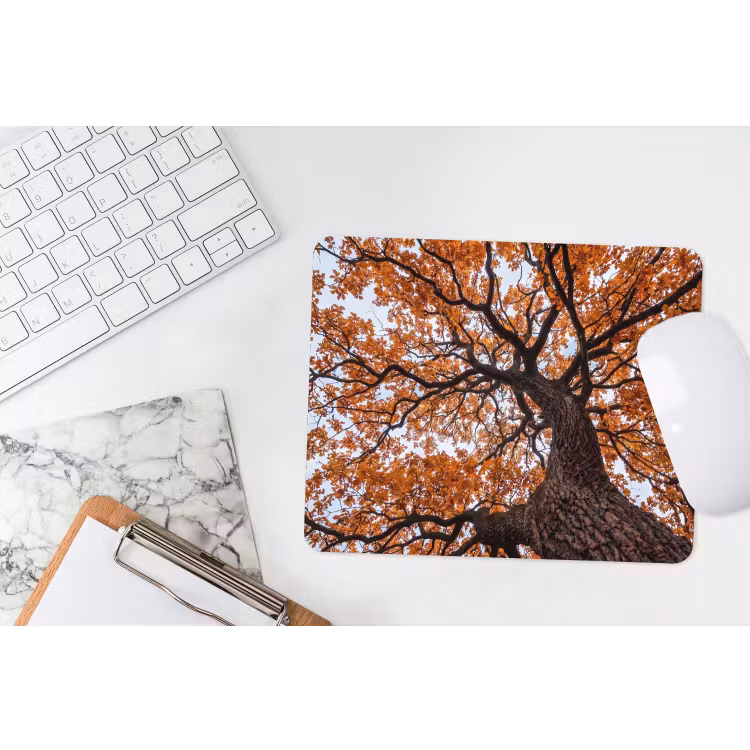 Muismat - Boom - Bladerdak - Herfst - Oranje - Sfeervol — 2