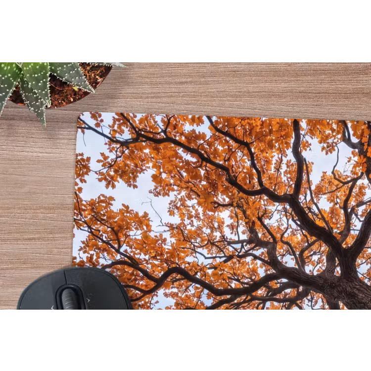 Muismat - Boom - Bladerdak - Herfst - Oranje - Sfeervol — 4