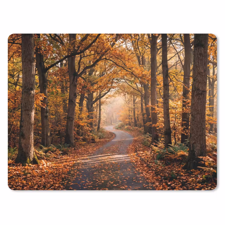 Muismat - Bospad - Herfstbos - Bladeren - Oranje - Nostalgisch — 1