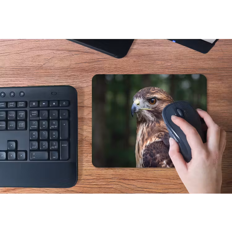 Muismat - Buizerd - Roofvogel - Natuur - Bruin — 3