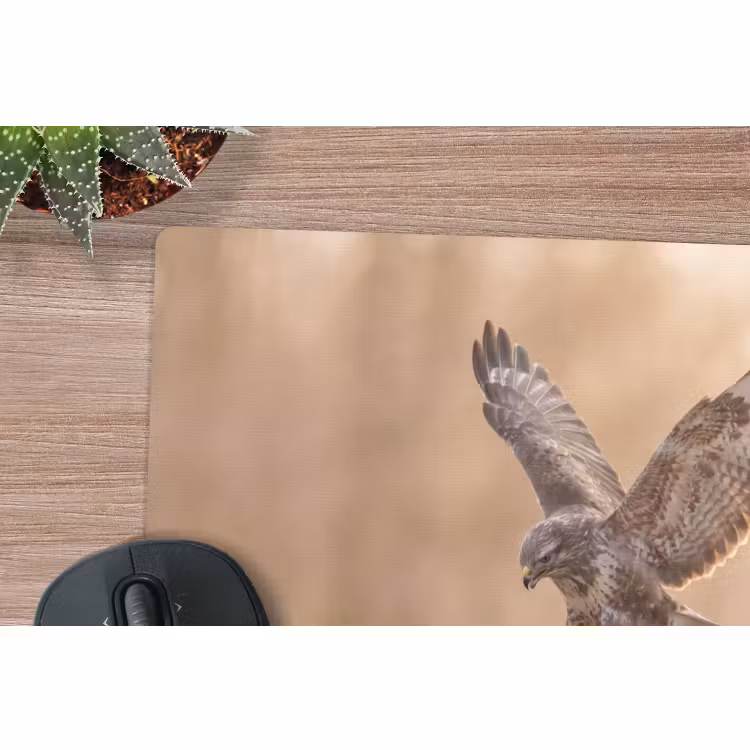 Muismat - Buizerd - Roofvogel - Natuur - Bruin — 4