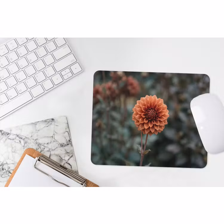 Muismat - Dahlia - Bloem - Natuur - Sfeervol — 2