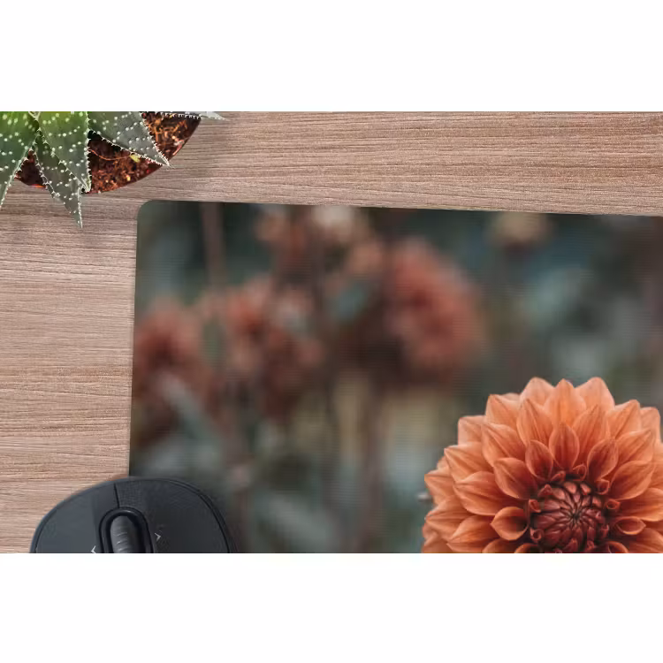 Muismat - Dahlia - Bloem - Natuur - Sfeervol — 4