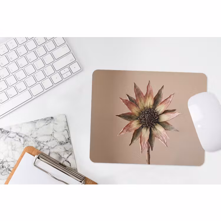 Muismat - Droogbloem - Protea - Vintage - Beige - Rustiek — 2