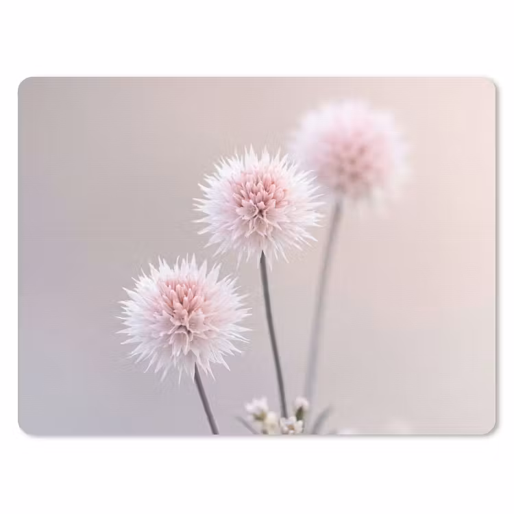 Muismat - Bloemen - Bollen - Roze — 1