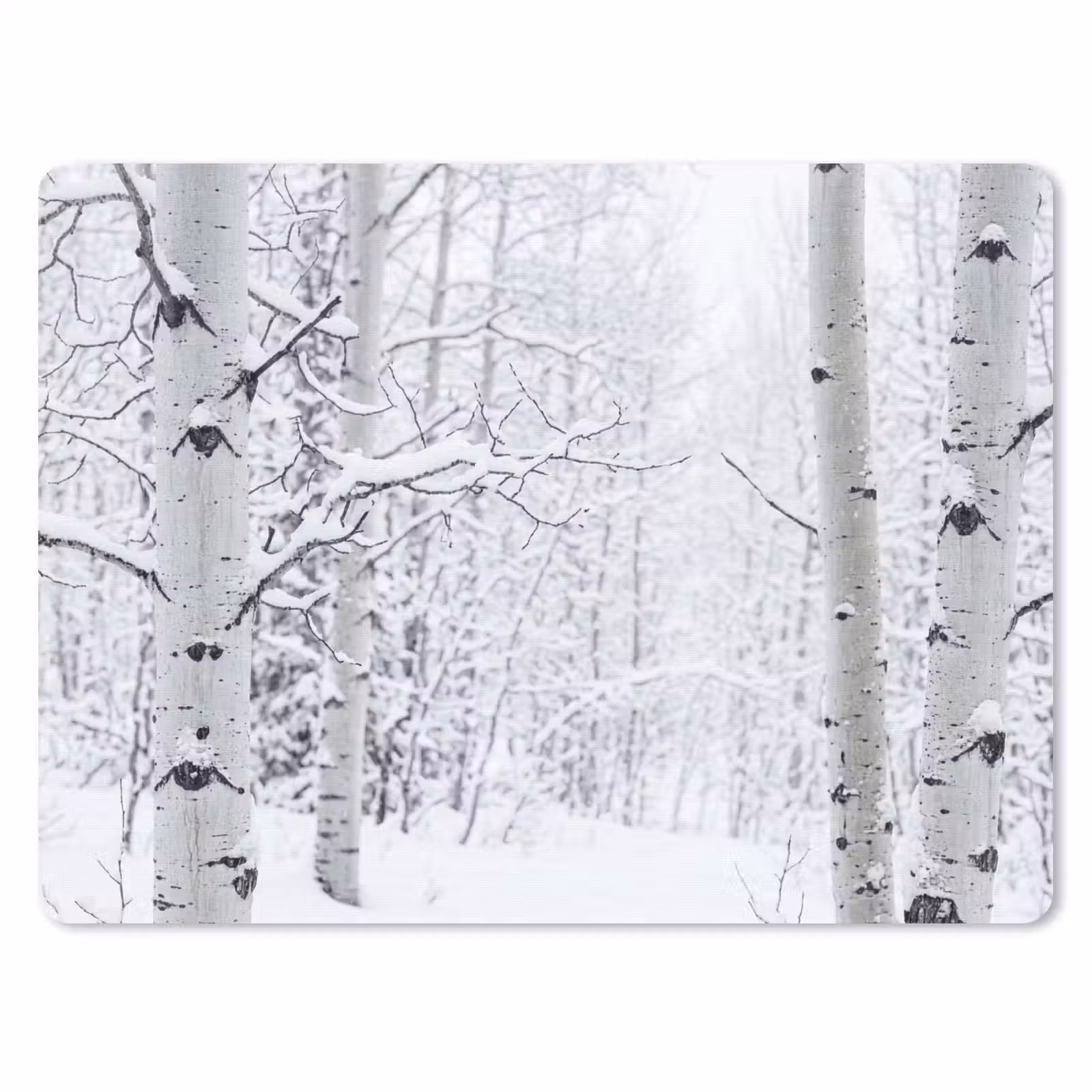 Muismat - Berkenbomen - Sneeuw - Winter - Bos - Wit — 1