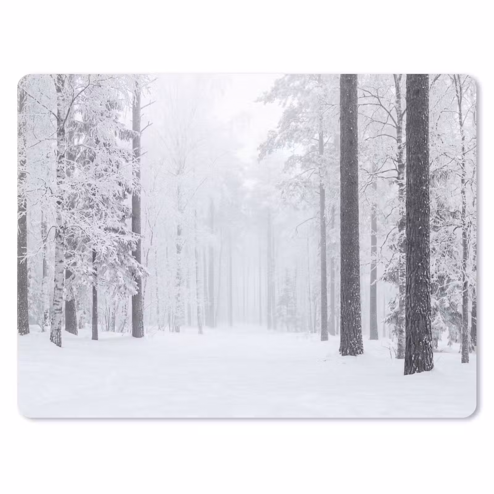 Muismat - Bos - Sneeuw - Pad - Winter - Stilte — 1