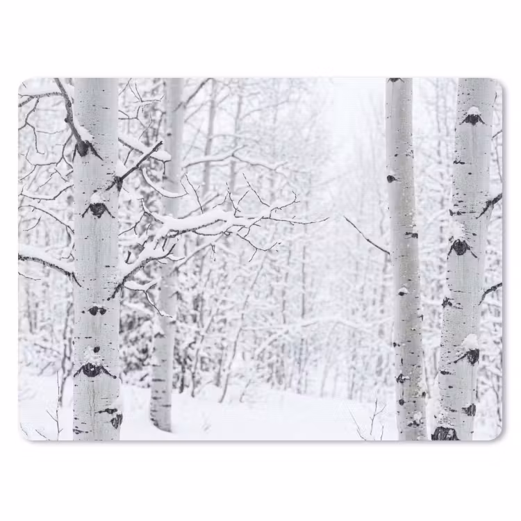 Muismat - Berkenbomen - Sneeuw - Winter - Bos - Wit — 1