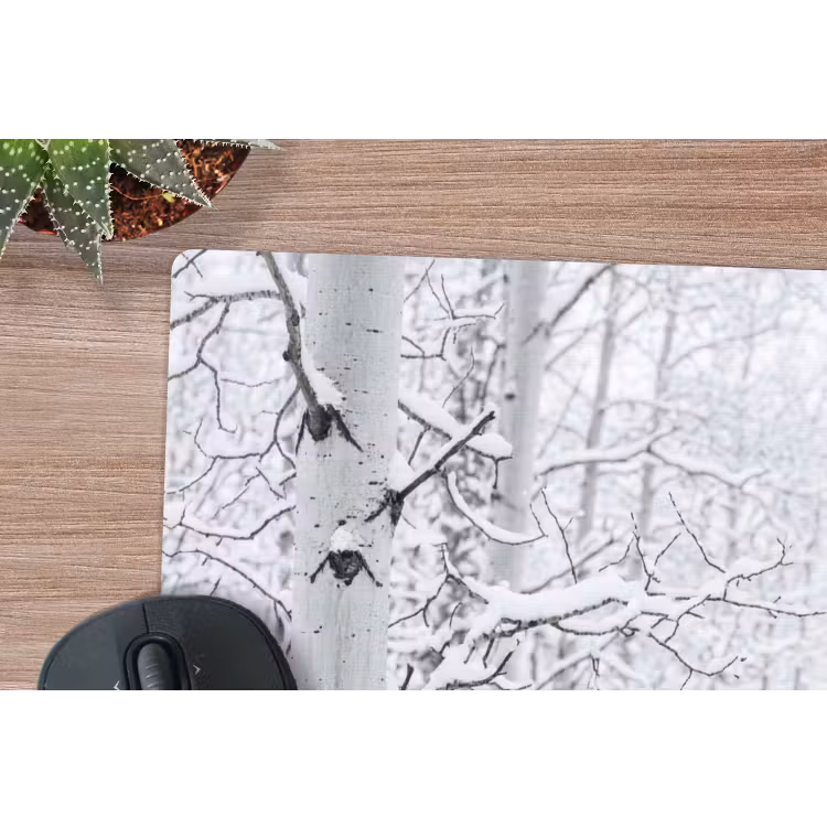 Muismat - Berkenbomen - Sneeuw - Winter - Bos - Wit — 4