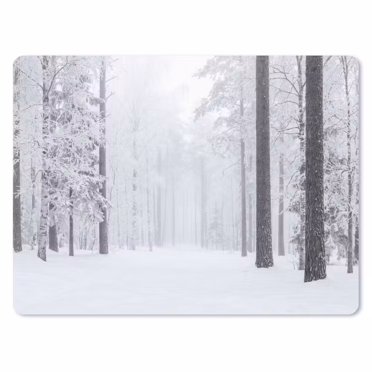 Muismat - Bos - Sneeuw - Pad - Winter - Stilte — 1