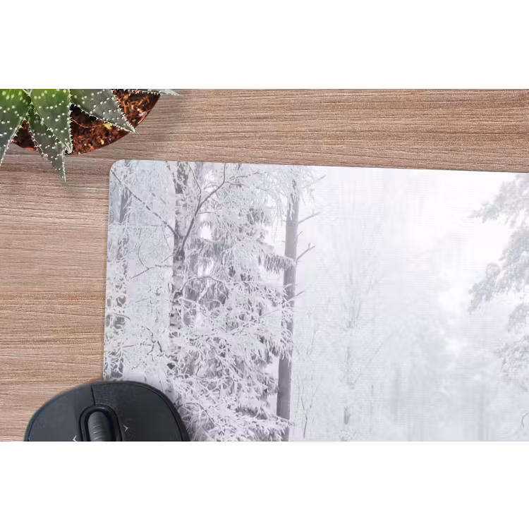 Muismat - Bos - Sneeuw - Pad - Winter - Stilte — 4