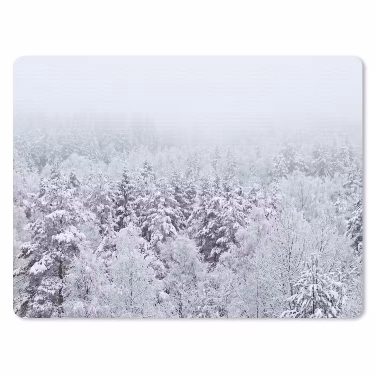 Muismat - Bos - Sneeuw - Winter - Natuur - Wit — 1
