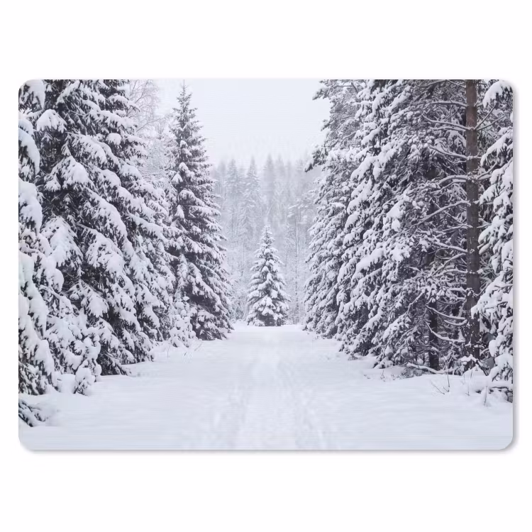 Muismat - Bos - Winter - Sneeuw - Pad - Natuur — 1
