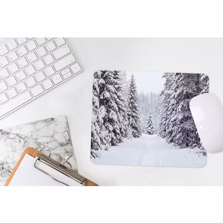 Muismat - Bos - Winter - Sneeuw - Pad - Natuur — 2