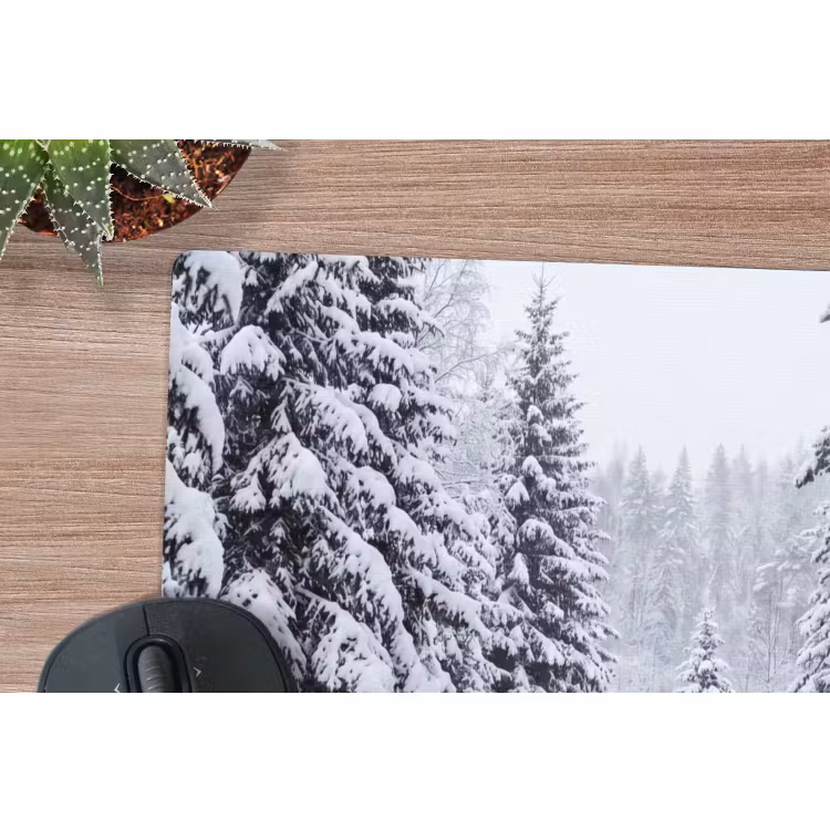 Muismat - Bos - Winter - Sneeuw - Pad - Natuur — 4