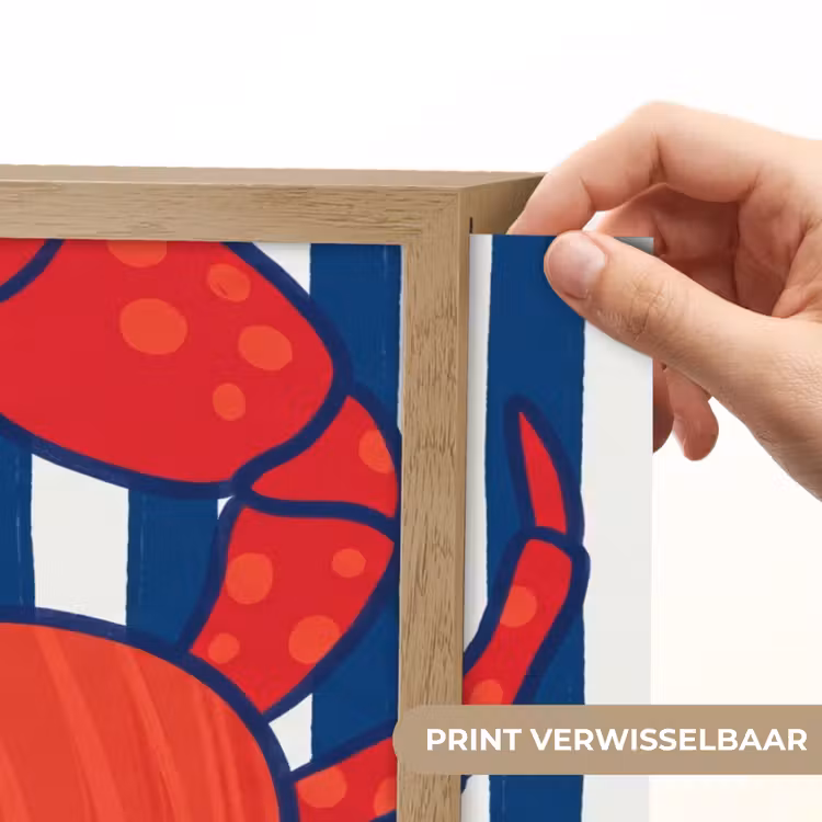Lightbox - Wandlamp - Krab - Strepen - Zeeleven - Illustratie - Rood — 5