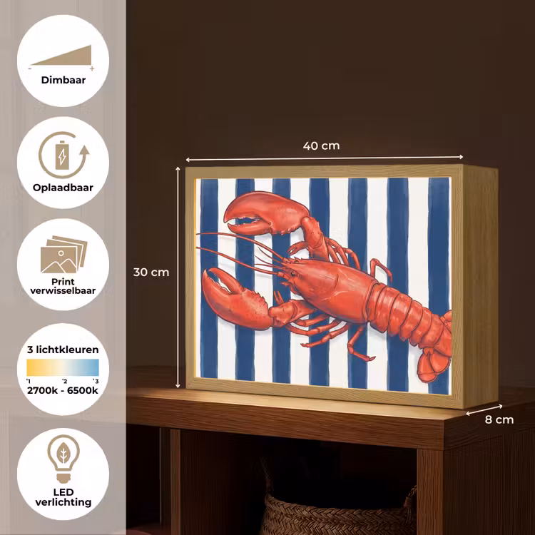 Lightbox - Wandlamp - Schaaldier - Kreeft - Marine - Illustratie - Rood — 10