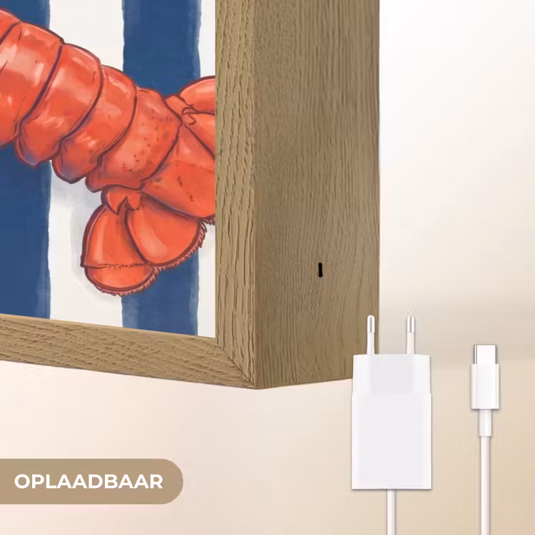 Lightbox - Wandlamp - Schaaldier - Kreeft - Marine - Illustratie - Rood — 7